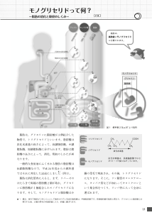 モノグリセリドって何？～脂肪の消化と吸収のしくみ～