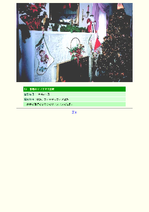 ［アメリカ］家庭のクリスマス装飾