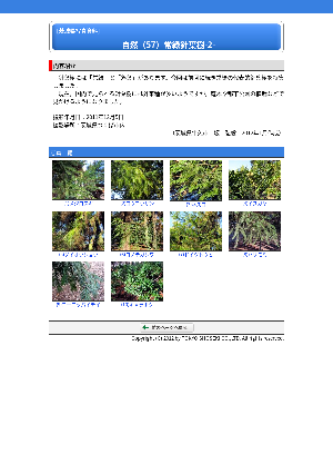 ［茨城県］自然（57）常緑針葉樹-2-