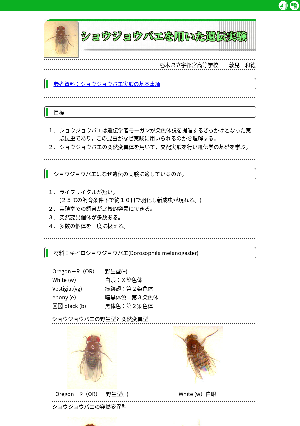 ショウジョウバエを用いた遺伝実験