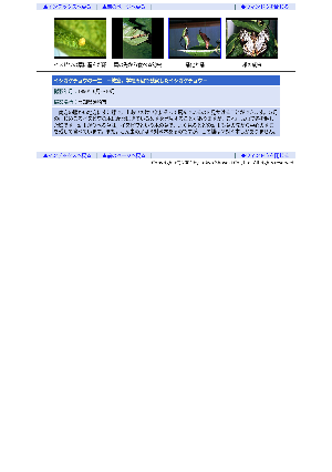 ［高知県］イシガケチョウの一生－教室，学校周辺で観察したイシガケチョウ－