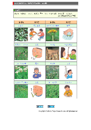 はるの草花ずかん（自然遊び掲示資料はる編）