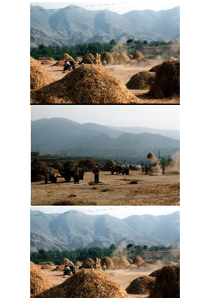 ［中国］麦秋の農村－脱穀風景－（甘粛省）