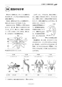 （教科書復刻版） 昆虫のなかま ［動物の世界］