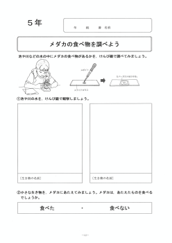 メダカの食べ物を調べよう（５年「動物の誕生」）