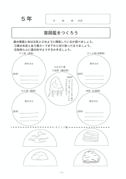 雲図鑑をつくろう（５年「天気の変化」）