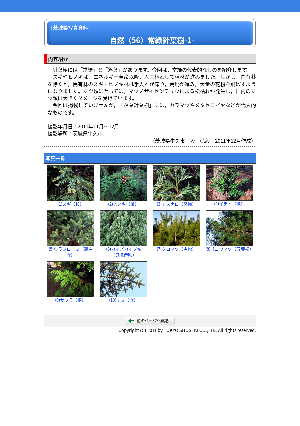 ［茨城県］自然（56）常緑針葉樹-1-