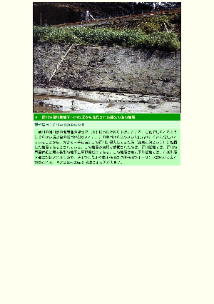 ［埼玉県］荒川河川敷―地下10ｍ以深から発見された縄文の海の地層―（第四紀層　関東平野）