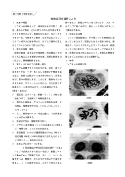 （おもしろい観察・実験）細胞分裂を観察しよう