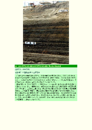 ［埼玉県］10万年前の海の地層と6千年前の海の地層が見られる第四紀層（第四紀層　関東平野）