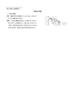 （おもしろい観察・実験）植物の蒸散