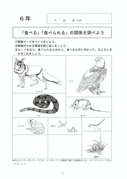 「食べる」「食べられる」の関係を調べよう（６年「生物と環境」）