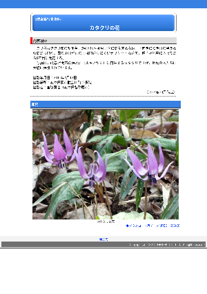 ［岐阜県］カタクリの花