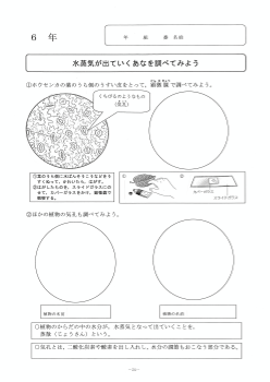 水蒸気が出ていくあなを調べよう（６年「植物の養分と水の通り道」）