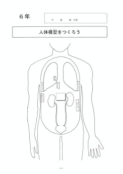 人体模型をつくろう（６年「人の体のつくりと働き」）