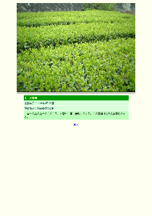 ［静岡県］１　お茶畑