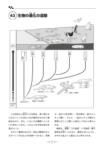 （教科書復刻版） 生物の進化の道筋 ［生物の細胞のふえ方］