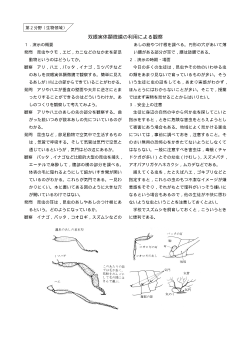 （おもしろい観察・実験）双眼実体顕微鏡の利用による観察