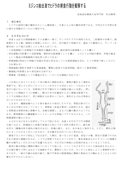 ミジンコ抽出液でヒドラの捕食行動を観察する