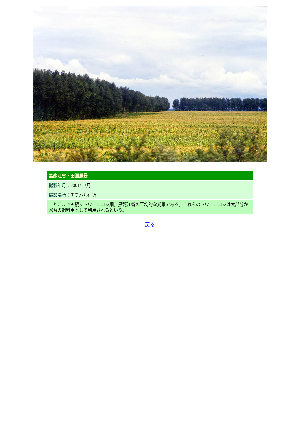 ［中国］黒龍江省・田園風景