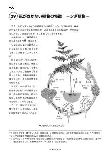 （教科書復刻版） 花がさかない植物の特徴─シダ植物─ ［植物の世界］