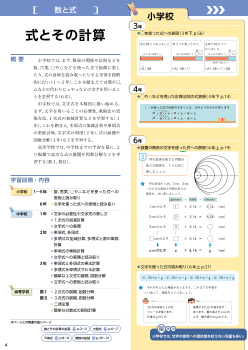 （小中高関連）［数と式］式とその計算