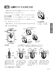 （教科書復刻版） 心臓のつくりとはたらき