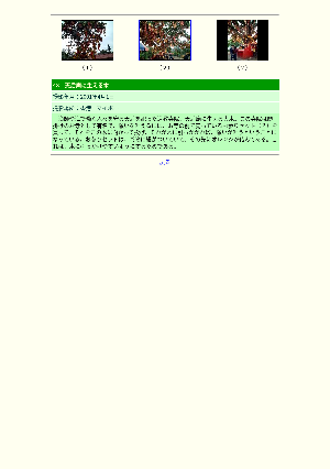 ［中国　香港（ホンコン）］48　天后廟に生える木