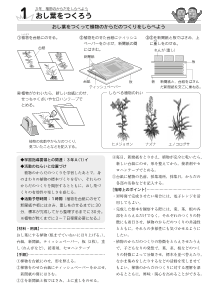 [発展]（１）おし葉をつくろう／（３年）植物のからだをしらべよう－おし葉をつくって植物のからだのつくりをしらべよう－