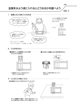 [5年]金属を水よう液に入れるとどうなるかを調べよう(6)