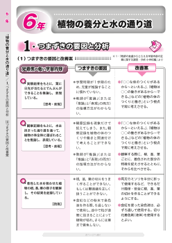 （6年） 植物の養分と水の通り道