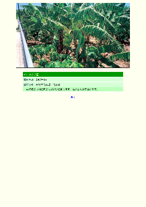 ［沖縄県］バナナ園
