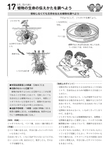 [発展]（１７）植物の生命の伝えかたを調べよう－（５年）花から実へ－（受粉しなくても生命を伝える植物を調べよう）