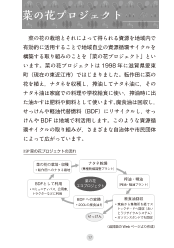 ［言葉の解説集］菜の花プロジェクト