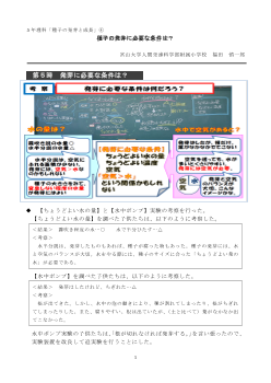 ５年理科「種子の発芽と成長」④種子の発芽に必要な条件は？