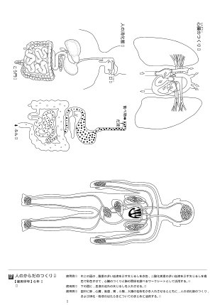 人のからだのつくり（オリジナル図版集）