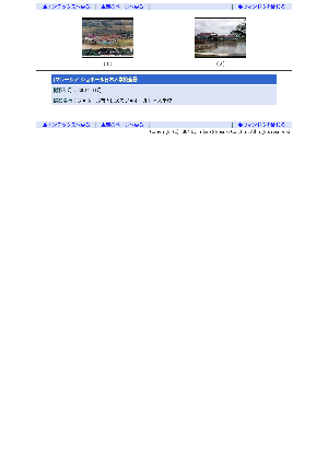 ［マレーシア］ジョホール日本人学校の全景