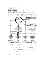 （生物小テスト）体温の調節