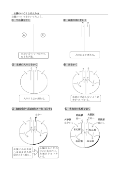 ［板書例］心臓のつくりとはたらき