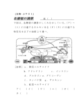 （生物小テスト）血糖値の調節