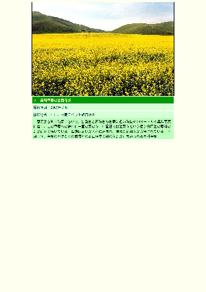 ［中国］桑科草原の油菜花畑