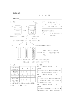 ［板書例］葉のつくりとはたらき（養分をどのようにしてつくっているか）