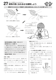 [発展]（２７）植物の葉にあるあなを観察しよう－（６年）生き物のくらしと環境－（植物がからだのどこで酸素や二酸化炭素を出し入れしているか調べよう）