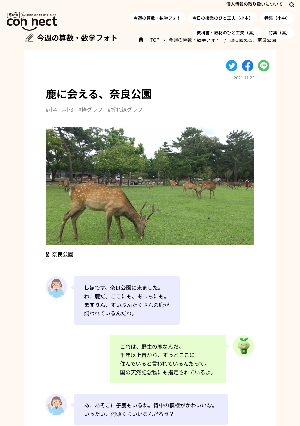 鹿に会える、奈良公園