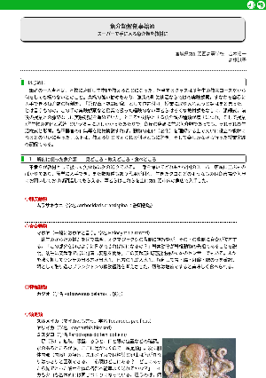 魚介類解剖事始め－スーパーで手に入る魚介類を教材に－