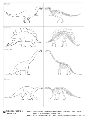 恐竜の骨格と復元図（オリジナル図版集）