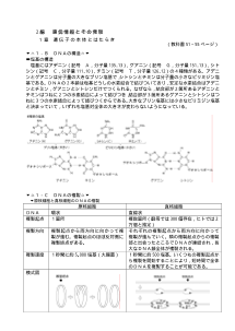 [生物 補充プリント]DNAの構造・DNAの複製