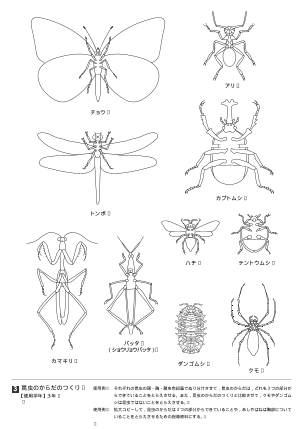 昆虫のからだのつくり（オリジナル図版集）