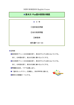 NEW HORIZON　基本文・Plus基本表現の確認３年