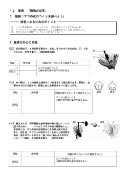 （学力向上問題集）　観察「マツの花のつくりを調べよう」